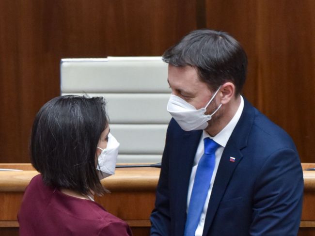 Heger počká vo veci odškodňovania obetí nútenej sterilizácie na návrhy ministrov