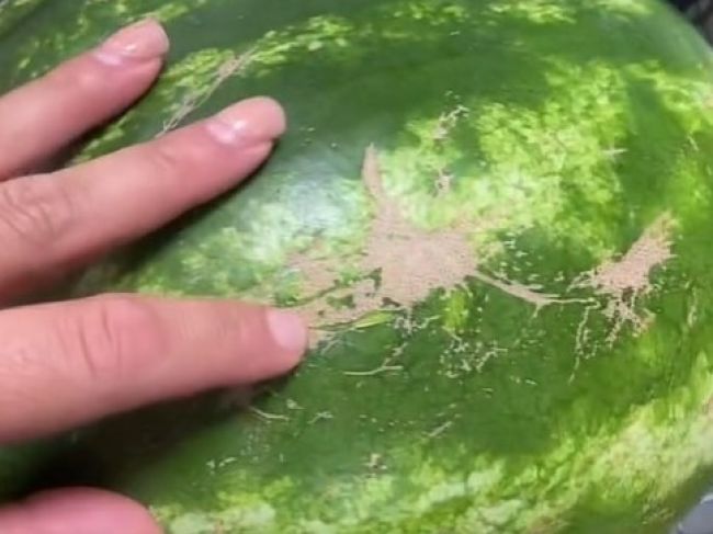 Video: Takto v obchode rozoznáte šťavnatý melón