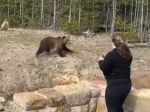 Video: Turistka si chcela odfotiť medveďa. Kvôli tomuto jej hrozí rok za mrežami