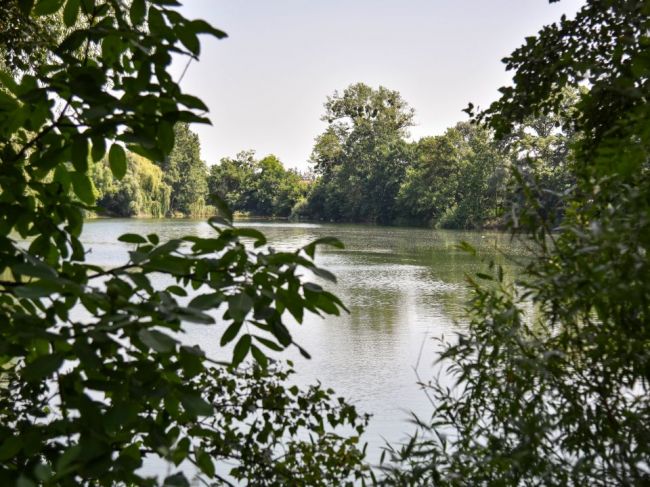 Hladiny na väčšine tokov sú po zrážkach už ustálené, Morava a Dunaj stúpajú