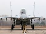 Stíhacie lietadlo MiG-29 dostalo pri pristávaní na Sliači defekt