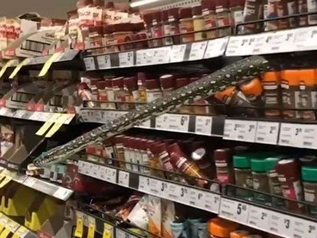 Video: Žena v supermarkete zachytila v regáli niečo nečakané