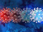 Nový variant koronavírusu môže byť smrteľnejší než delta, varuje imunológ