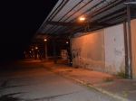 Polícia obvinila z beštiálnej vraždy iba 15-ročného chlapca