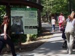 Na stavbu stanice pre mačku divú v zoo Bojnice by sa malo presunúť 80.000 eur