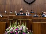 Prezidentka ocenila sanáciu následkov pandémie, nedostatkov však bolo veľa