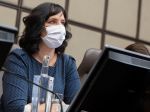 Krajniak i Vlčan majú k rozpočtu pripomienky, Remišová kritizuje daňovú brzdu