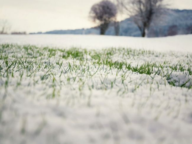 Na Slovensko zavíta studený front, môže priniesť prvý sneh