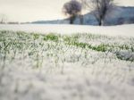 Na Slovensko zavíta studený front, môže priniesť prvý sneh