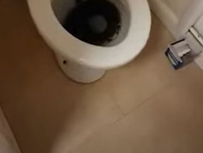 Video: Žena chcela ísť ráno na toaletu. Po tomto utiekla z domu