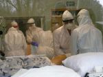 COVID-19 na Slovensku: PCR a antigénové testy odhalili cez dvetisíc prípadov nákazy