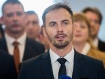OĽANO plánuje snem na jeseň, mohol by mať aj verejnú časť