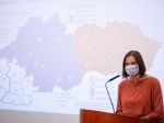 SaS: Za súdnou mapou stojíme, o detailoch by mala rozhodnúť koaličná rada