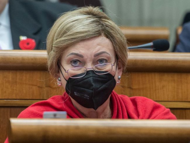 Interrupcie sa sprísňovať nebudú, poslanci neschválili zákon na pomoc tehotným ženám