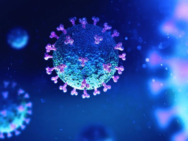 JAR zistila nový variant koronavírusu s veľkým počtom mutácií