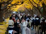 Japonsko hlási prvý potvrdený prípad variantu omikron