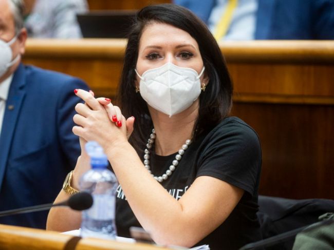SaS podáva trestné oznámenie pre bilbordy ĽSNS
