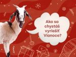 Projekt Skutočný darček pomáha ľuďom v núdzi aj tento rok