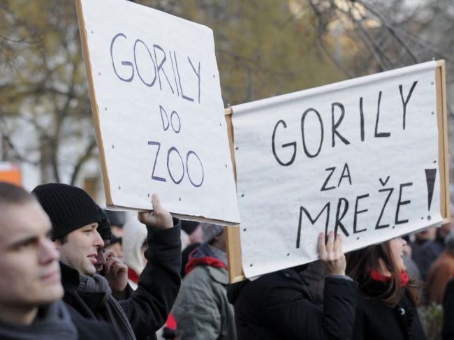 Kauza Gorila vypukla pred desiatimi rokmi