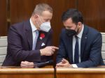 Kollár chce za podpredsedu parlamentu Šeligu, ten funkciu vziať nechce