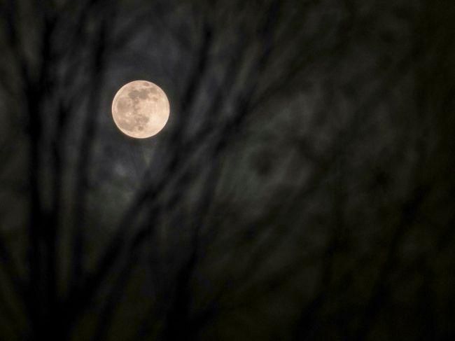 Japonsko plánuje vyslať astronautov na Mesiac ešte v priebehu tohto desaťročia