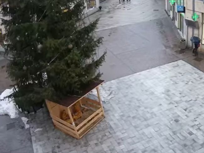 VIDEO: V Ružomberku sa zrútil hlavný vianočný strom