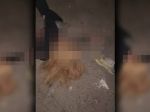 Obec Miloslavov reagovala na násilný incident, prijala viacero opatrení