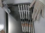 Spoločnosť Pfizer oznámila, kedy bude hotová vakcína proti omikronu