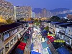 Hongkong trvá na likvidácii malých zvierat, ktoré by mohli byť šíriteľmi covidu