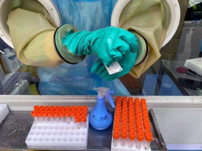 Vedci z Wu-chanu objavili potenciálne nebezpečnejší variant koronavírusu