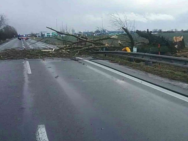 Bratislavskí hasiči doteraz pre silný vietor vykonali sedem výjazdov