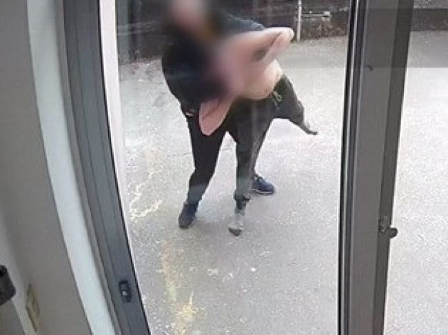 Služobný pes pomohol vypátrať muža, ktorý sa vlámal do masážneho salóna