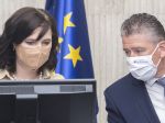 Mikulec a Remišová majú COVID-19