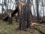 Na horách sa môže vyskytnúť orkán, vietor potrápi väčšinu Slovenska