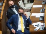 OĽANO podporuje vytvorenie 8 volebných obvodov, chce diskusiu v koalícii