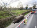 Silný vietor pácha veľké škody, v Krakove zahynuli dvaja ľudia