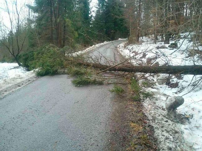 SHMÚ vydal zvýšenú výstrahu pred nárazovým vetrom