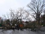 Víchrica Eunice si v Holandsku vyžiadala najmenej dvoch mŕtvych