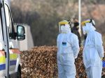 Na Slovensku pribudlo 11.912 prípadov nákazy koronavírusom a 15 obetí