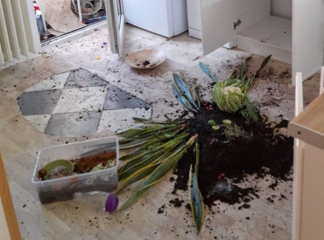 Muž vyhodil z bytu priateľku a ich deti, z balkóna vyhadzoval i nábytok