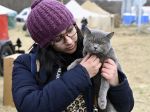 Väčšina utečencov má ukrajinskú štátnu príslušnosť, o azyl na Slovensku požiadalo 126 ľudí