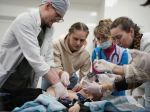 Konflikt na Ukrajine si podľa OSN vyžiadal životy najmenej 351 civilistov