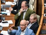 Prieskum: Voľby by koncom februára vyhral Hlas-SD pred Smerom-SD a SaS