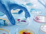 WHO odporučila Ukrajine, aby zničila všetky nebezpečné patogény v laboratóriách