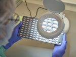 Pfizer bude pokračovať v dodávkach liekov do Ruska