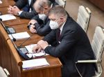 Zástupcovia Smeru-SD sa stretli s ukrajinským i ruským veľvyslancom