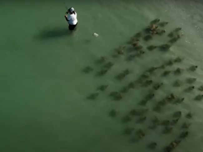 Video: Rybár pokojne chytal ryby. Toto za ním stihlo preplávať