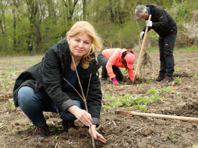 Prezidentka: Verejné inštitúcie by mali prispieť k znižovaniu dosahu na klímu