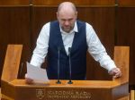 Slovensko chce trojročné prechodné obdobie na dodávky ruskej ropy. Sulík vysvetlil, prečo