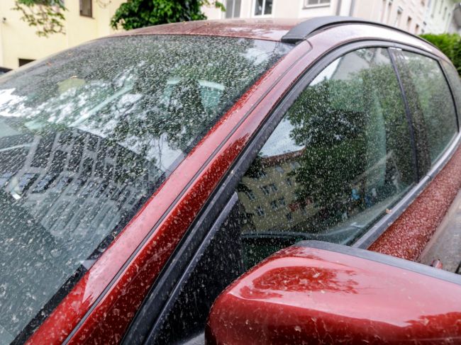 Na územie Slovenska sa môže opäť dostať saharský prach
